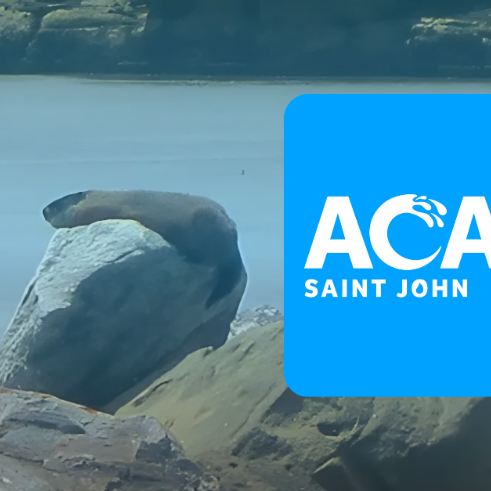 Ocean Week Celebration Saint John!